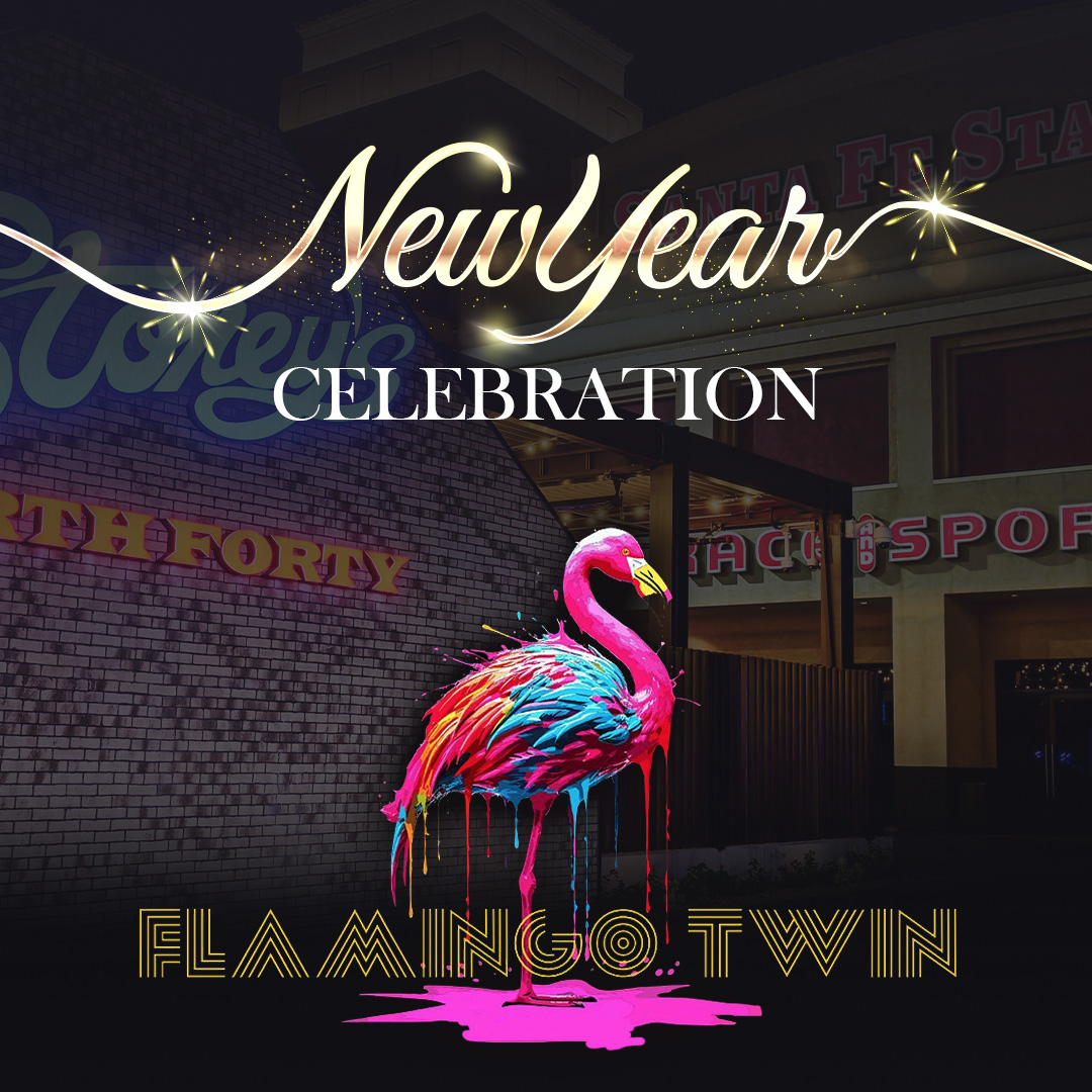 NYE with Flamingo Twin